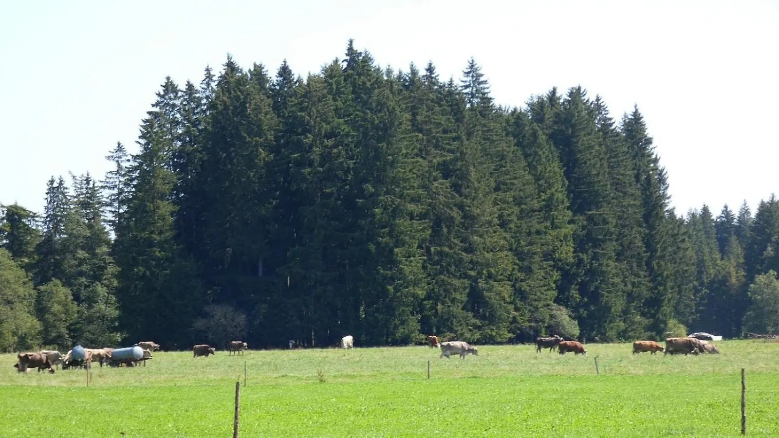 Ferienwohnung Nr 1, Lechbruck-Gruendl, Allgaeu Prem 0*,  Germany